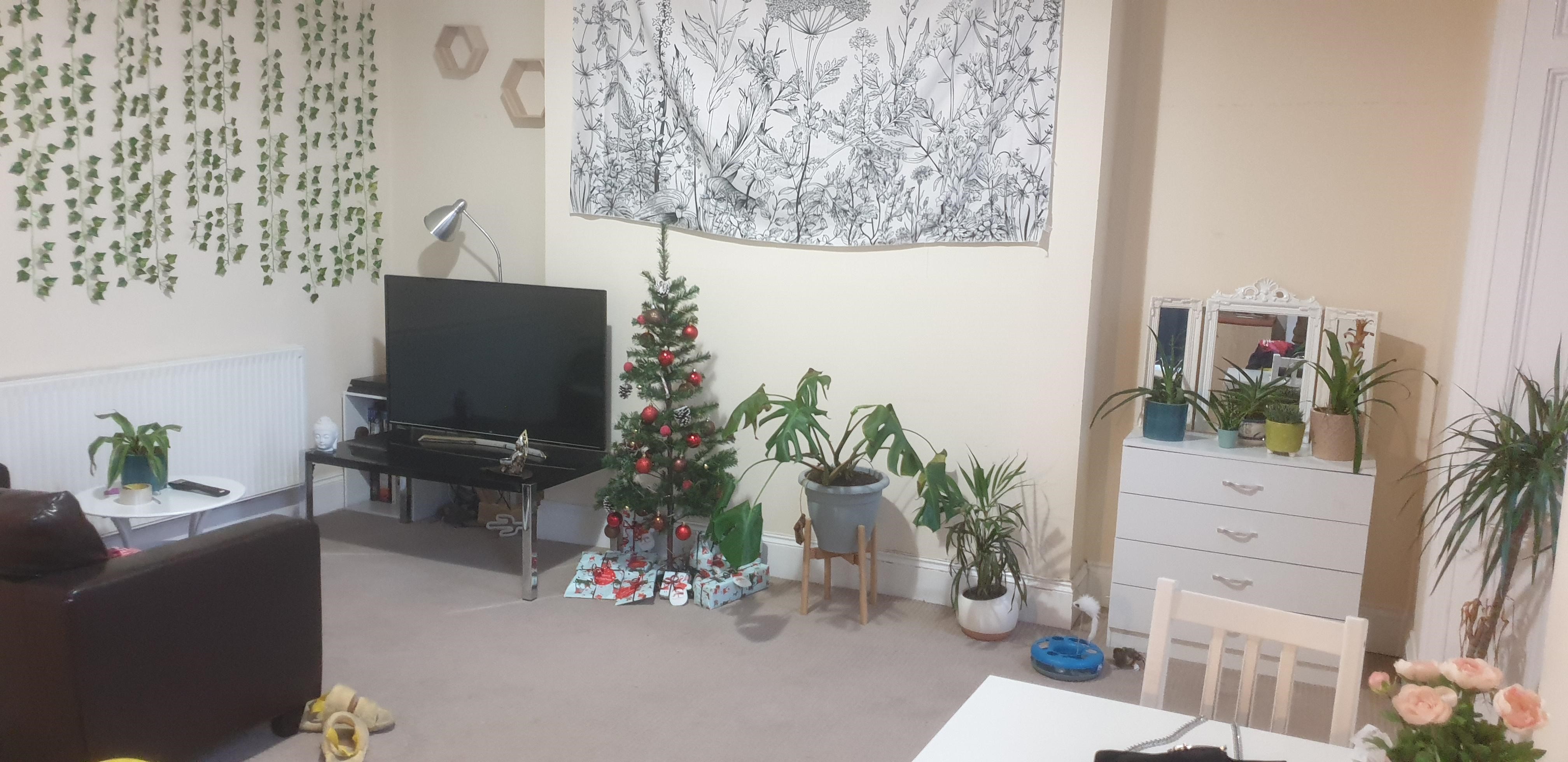 54 North road East, Flat 3, Plymouth, PL4 6AY Image 5