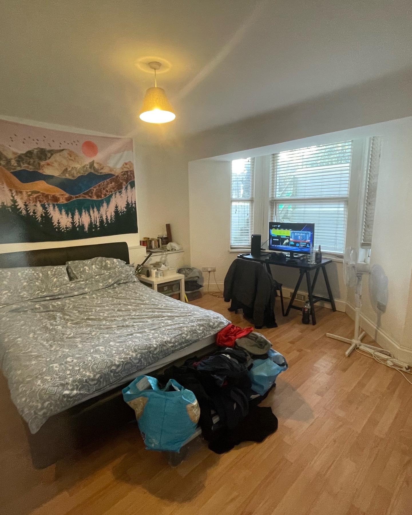 4 Napier Terrace, Basement Image 3