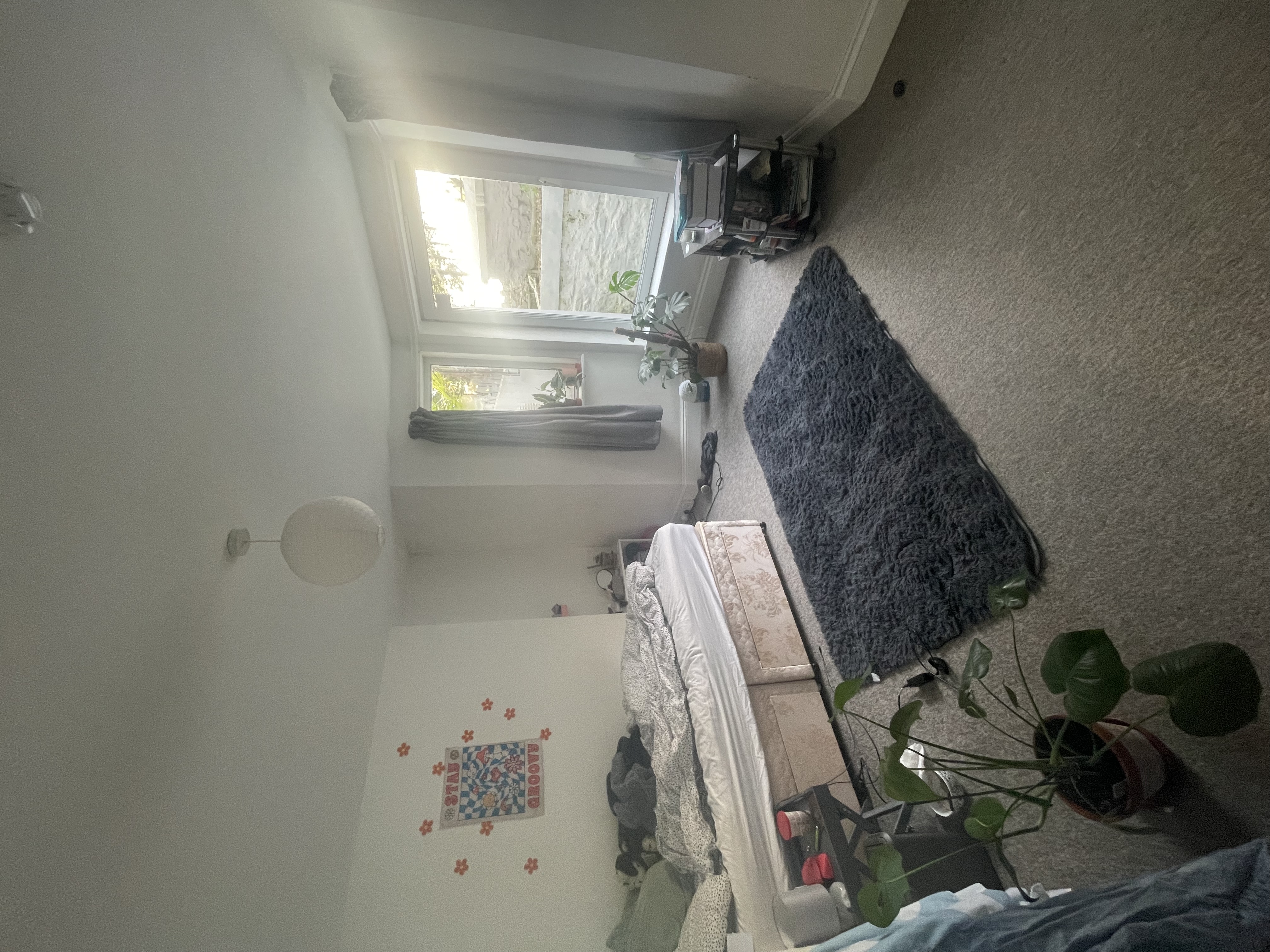 16 Napier Terrace, Basement Image 3