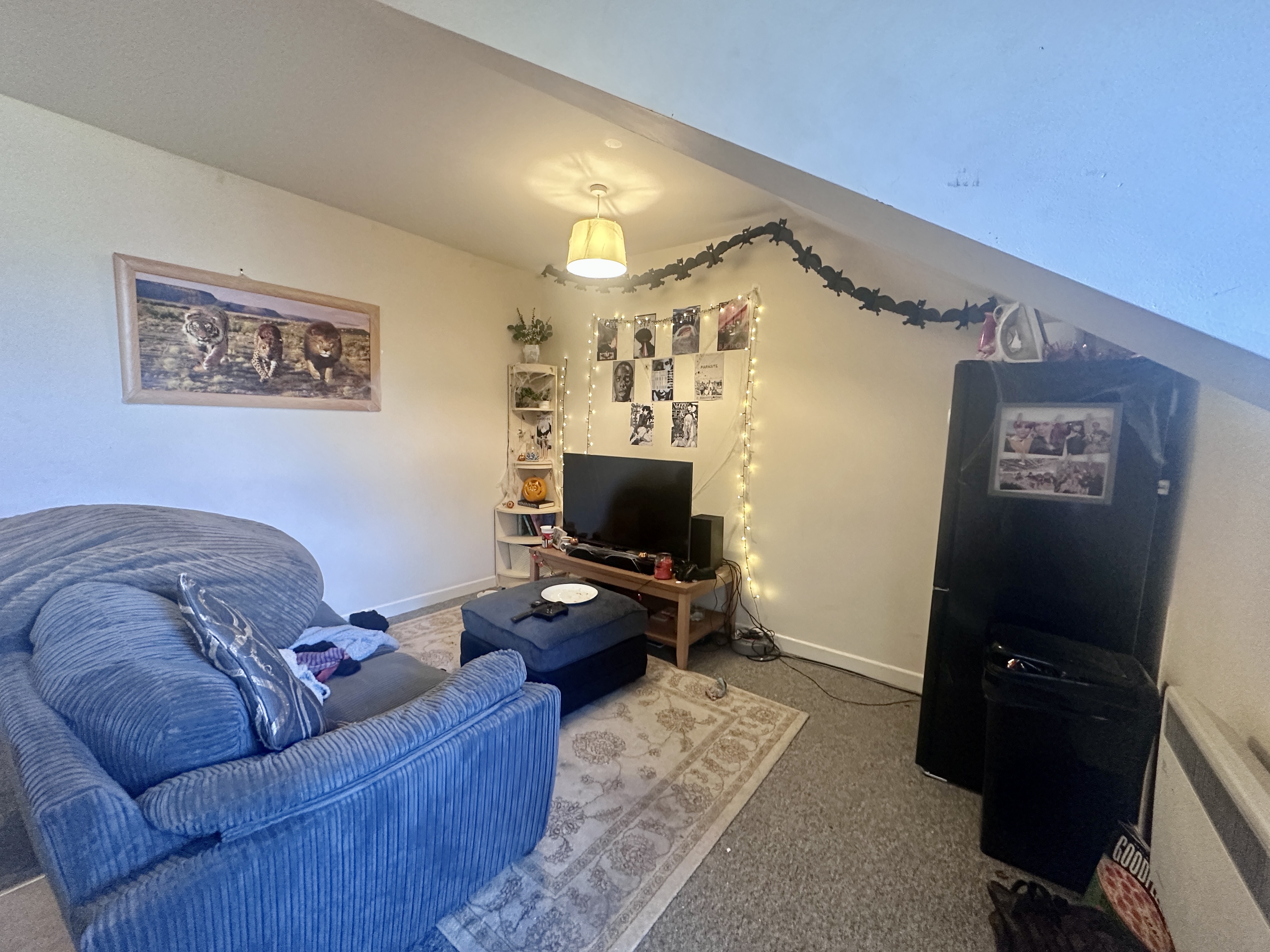 24 Woodland Terrace Flat 6 Image 1